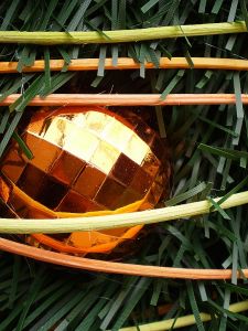 v�no�n� strome�ek na v�noce